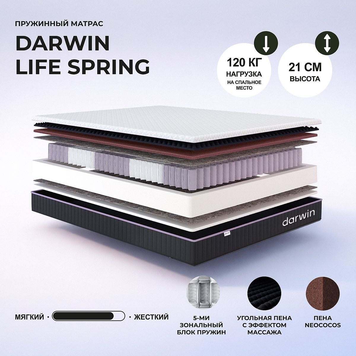 Darwin Life Spring